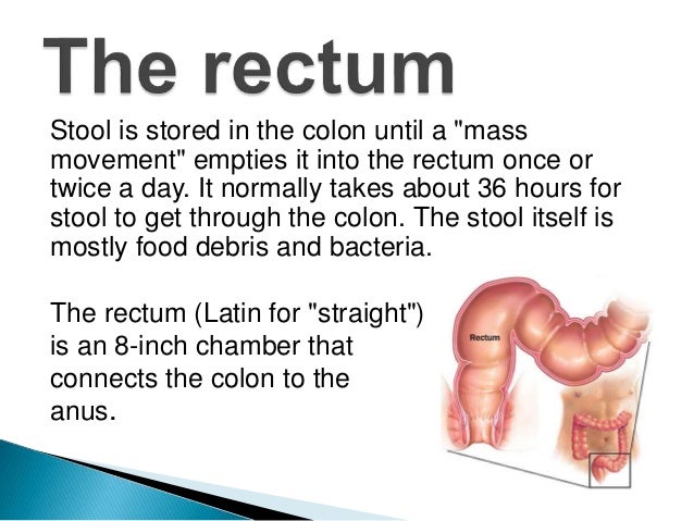 Two functions of the anus The truth about bukkake